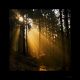 light_pe-2