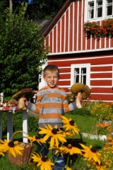 zajda_junior